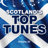 Scotland's Top Tunes, Vol. 20 - Celtic Spirit