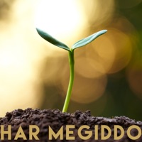 Growing - Single - Har Megiddo