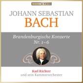 Brandenburgisches Konzert No. 5 in D Major, BWV 1050: II. Affetuoso artwork