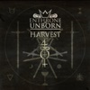 Harvest - Single