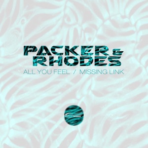 All You Feel / Missing Link - Single