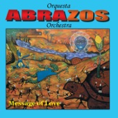 Abrazos Orchestra - Tu No Me Conoces