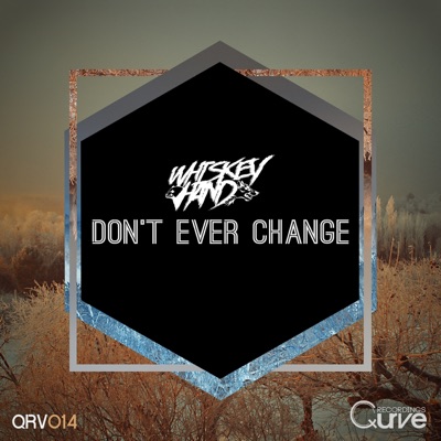 Don't Ever Change - Single