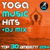 Yoga Music Hits + DJ Mix: Top 30 Ambient 2014