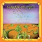 The Reason Is? - Hawkwind lyrics