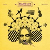 Shawn Lee's Ping Pong Orchestra - Kiss the Sky