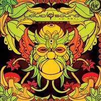 Open Your Eyes — Liquid Sound