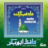 Hafiz Abu Bakkar - Salaam