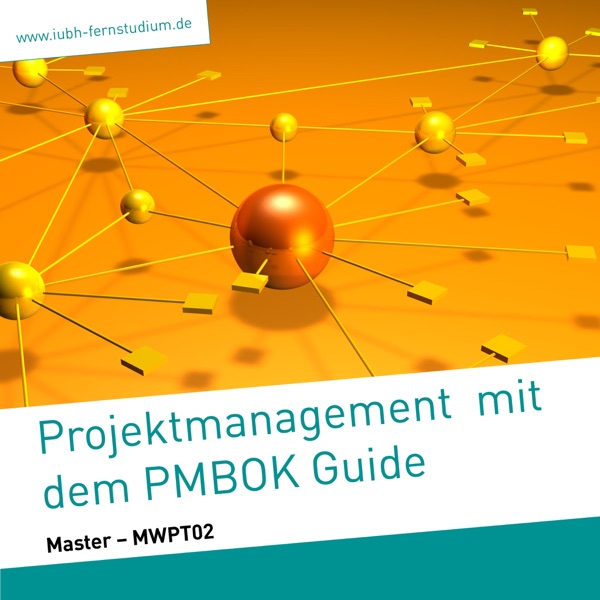 Projektmanagement mit dem PMBOK Guide (Master) cover