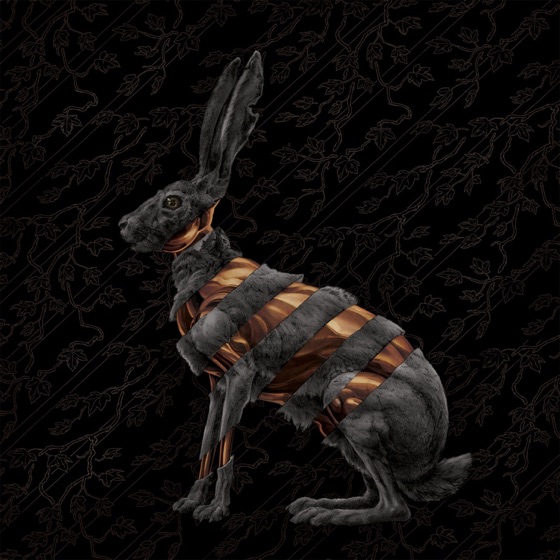 Cover artwork for Jackrabbit (Ra Ra Riot Remix)