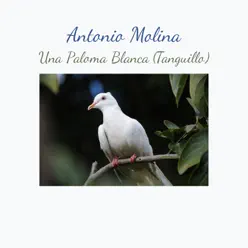 Una Paloma Blanca (Tanguillo) - Single - Antonio Molina