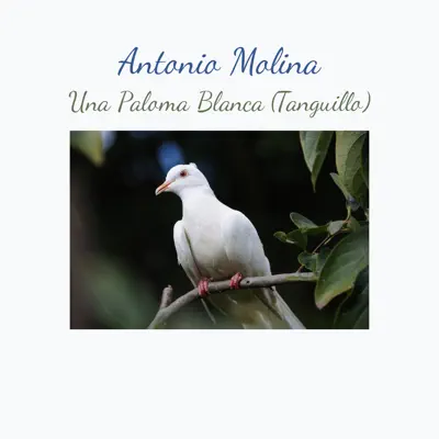 Una Paloma Blanca (Tanguillo) - Single - Antonio Molina