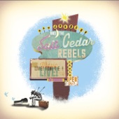 Dan Johnson & Salt Cedar Rebels - Better Than This