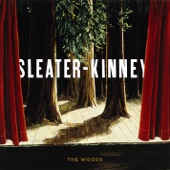 Sleater-Kinney - Entertain
