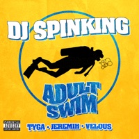 Adult Swim (feat. Tyga, Jeremih & Velous) - Single - DJ SPINKING