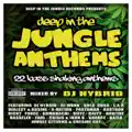 Roots Jungle