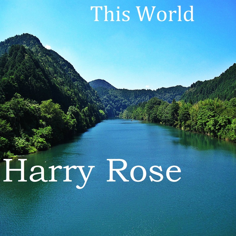 Harry rose