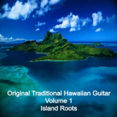 Original Traditional Hawaiian Guitar, Vol. 1 - Island Roots - Verschillende artiesten