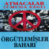 Örgütlemişler Baharı (Atmacalar)