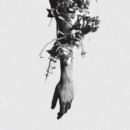 Leviathan mouse on the keys