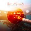 Best Moments of Chillout & Lounge