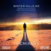 Markus Schulz - Winter Kills Me (feat. Lady V) [Chillout Mix]