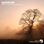 Quietude artwork