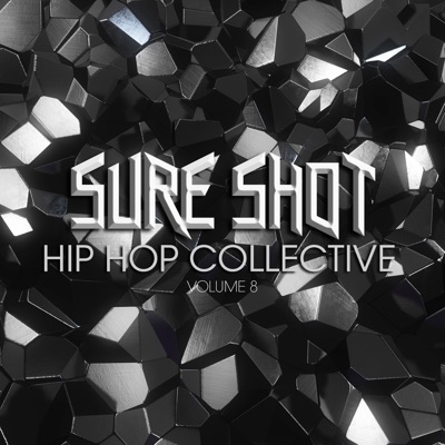 Sure Shot: Hip Hop Collective, Vol. 8