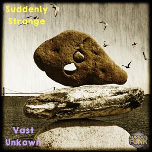 Vast Unkwown - Single