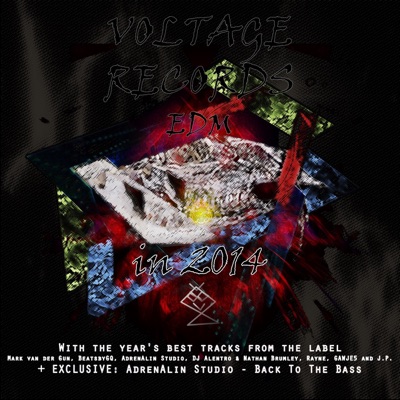 Voltage Records EDM in 2014