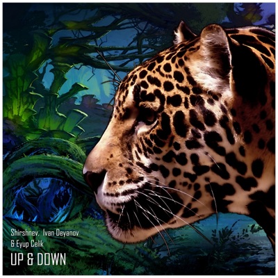 Up & Down - Single