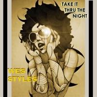 Take It Thru the Night (feat. Pozition) - Single - Wes Styles