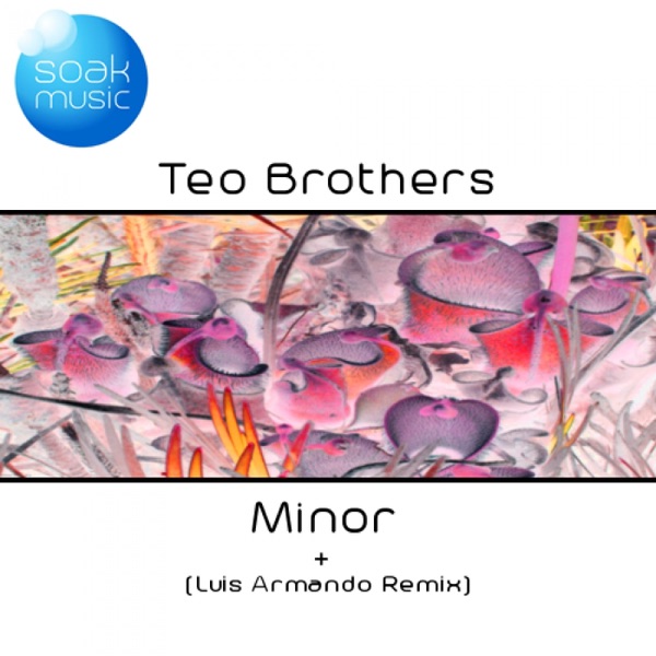 Minor (Luis Armando Remix)