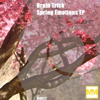 Spring Emotions - Single - Brain Trick