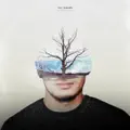 Walls (Feat. Maryann)