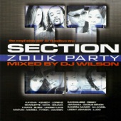 Section Zouk Party artwork