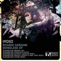 Senseless - Ricardo Garduno