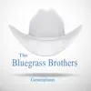 The Bluegrass Brothers - Memories of My Childhood