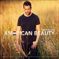 American Beauty - Andy Snitzer