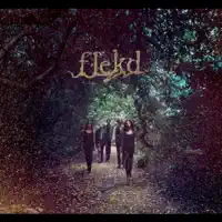 Goodson — Flekd