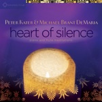 Peter Kater & Michael Brant DeMaria - Timeless Echoes