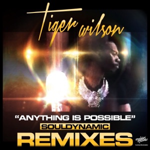 Anything Is Possible (Souldynamic Remixes) - Single