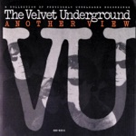 The Velvet Underground - We're Gonna Have a Real Good Time Together