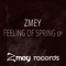 Feeling of Spring - Zmey lyrics