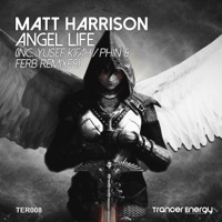 Matt Harrison - Angel Life (Phin & Ferb Remix)