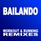 Bailando (Remix by Boris Mills) - Hardgate lyrics