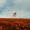 British India - Suddenly