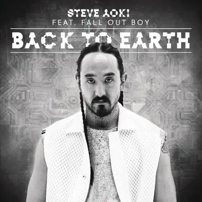 Back To Earth (Remixes) - Single - Steve Aoki