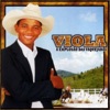 Viola - Garçom Amigo