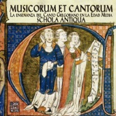 Musicorum et Cantorum artwork